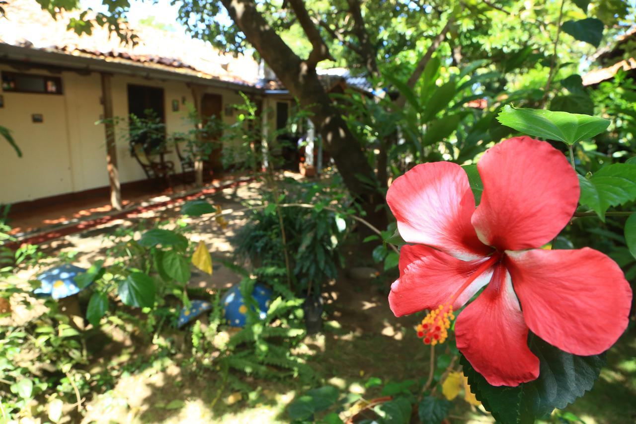 Casa De Los Berrios Leon Luaran gambar